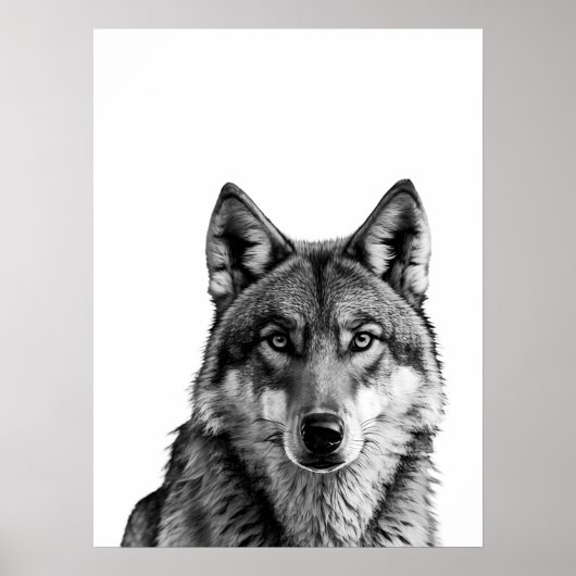 Poster Wolf Modern Portrait noir blanc (Devant)
