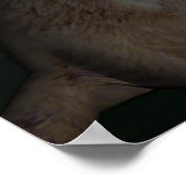 Poster Wolf Moon (Coin)