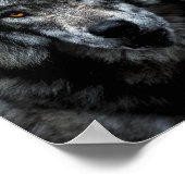 Poster Wolf Orange Yeux Nature animale sauvage (Coin)