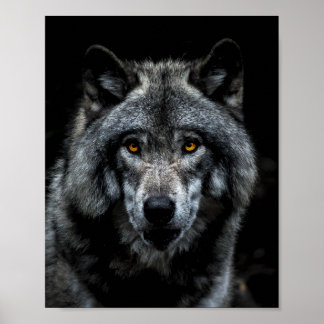 Poster Wolf Orange Yeux Nature animale sauvage