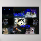 Poster Wolf Pack (Devant)