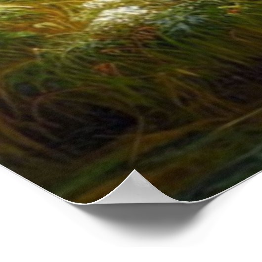 Poster Wolf Pack Wolf Stream Nature Faune (Coin)