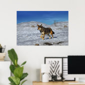Poster Wolf rouge hiver février 2011 (Bureau à domicile)