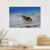 Poster Wolf rouge hiver février 2011 (Cuisine)