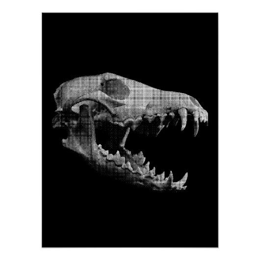 Poster Wolf skull (Devant)