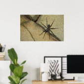 Poster Wolf Spider (Bureau à domicile)