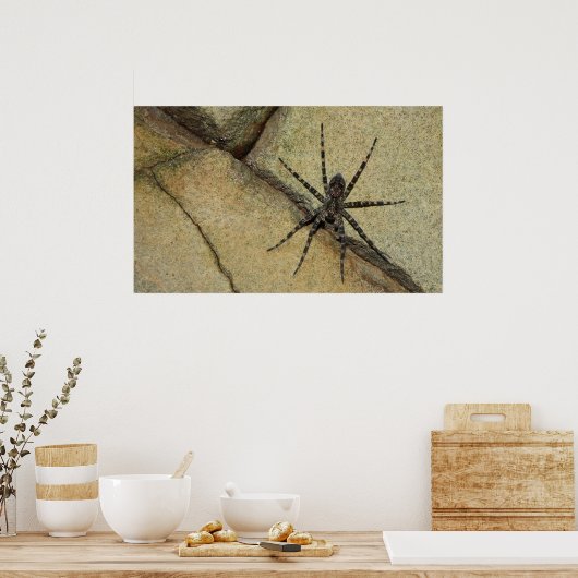 Poster Wolf Spider (Cuisine)