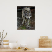 Poster Wolf sur le poulailler (Cuisine)