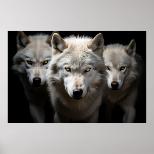 Poster Wolf Wild Animal Portrait Fierce Power (Devant)