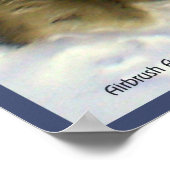 Poster Wolf Winterter (Coin)