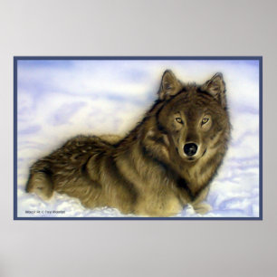 Poster Wolf Winterter