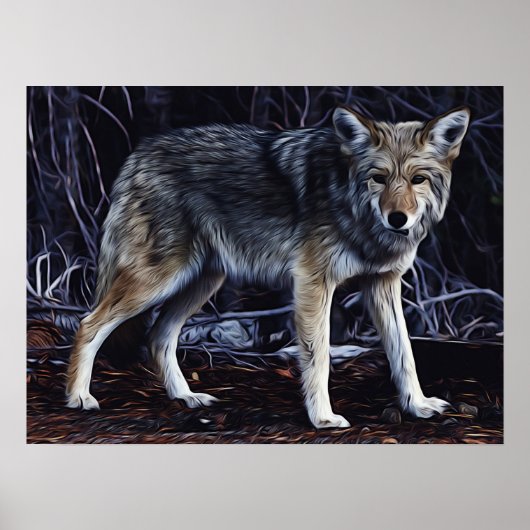 Poster Wolf Wolves Belle aquarelle (Devant)