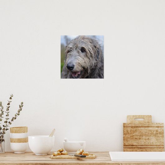 Poster Wolfhound (Cuisine)