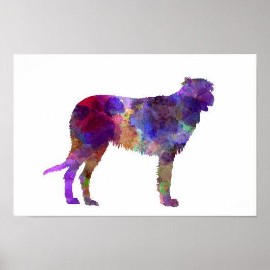 Poster Wolfhound irlandais en aquarelle (Devant)