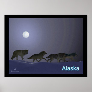 Poster Wolfpack