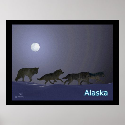Poster Wolfpack (Devant)