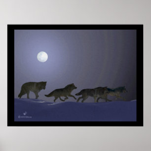 Poster Wolfpack