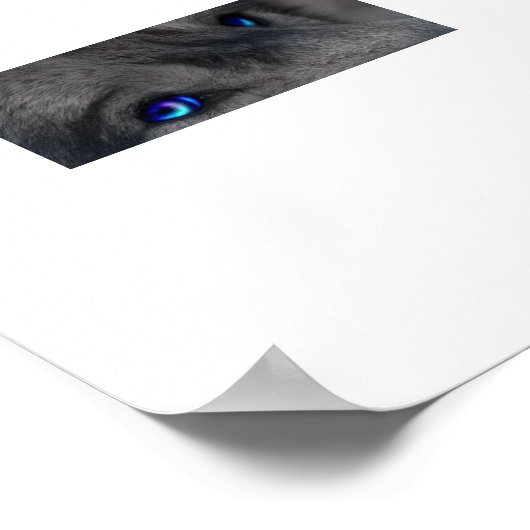 Poster Wolfsaugen (Coin)