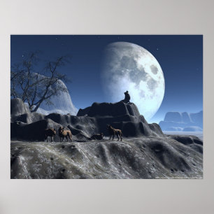 Poster Wolfy