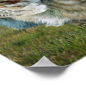 Poster Wolpertinger (Coin)