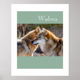 Poster-Wolven Poster