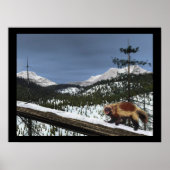 Poster Wolverine (Devant)