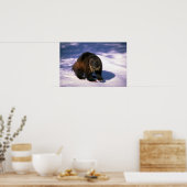 Poster Wolverine sur neige (Cuisine)