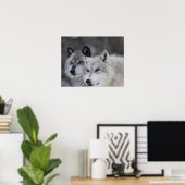 Poster Wolves (Canus lupus) | West Yellowstone (Bureau à domicile)