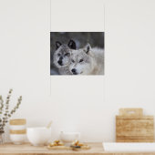 Poster Wolves (Canus lupus) | West Yellowstone (Cuisine)