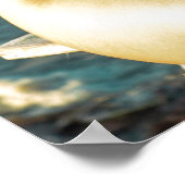 Poster Woman Posing By The Seaside (Coin)