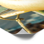 Poster Woman Smiling At The Beach (Coin)