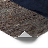 Poster Womanizer (Coin)