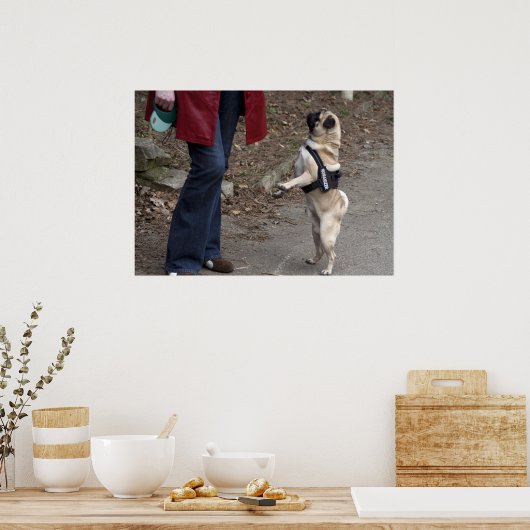 Poster Womanizer (Cuisine)