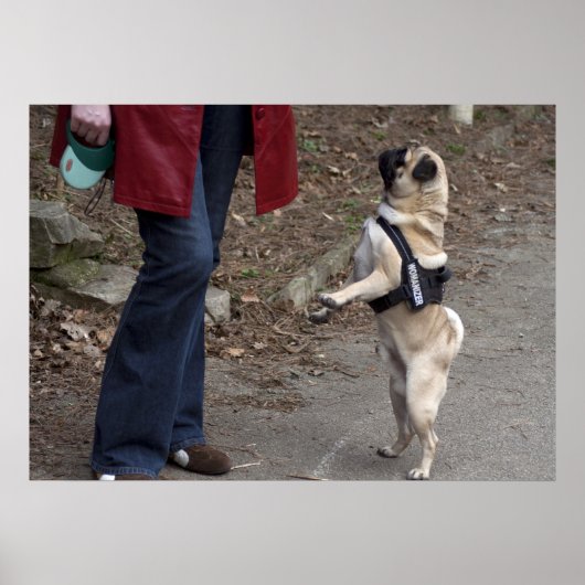 Poster Womanizer (Devant)