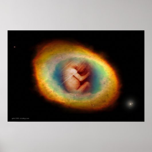 Poster Womb by Gregory Gallo (Devant)