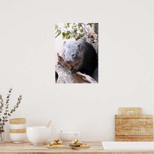 Poster Wombat (Cuisine)