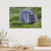 Poster Wombat Australie (Cuisine)