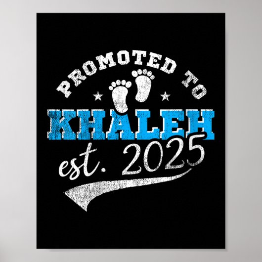 Poster Womens Promoted To Khaleh 2025 New Iranian Aunt Vi (Devant)