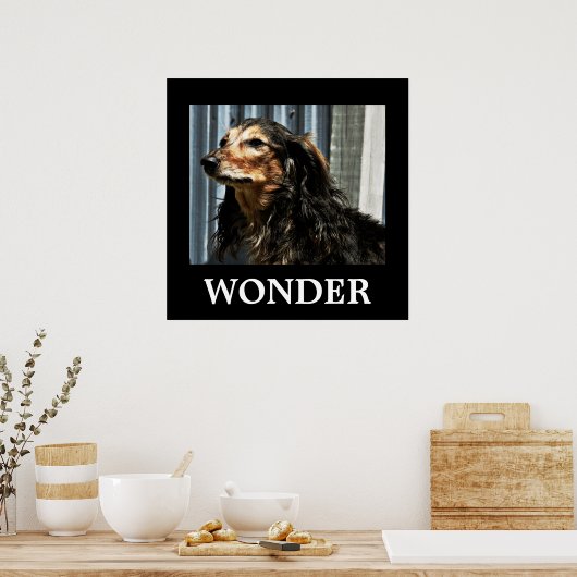 Poster Wonder (Cuisine)