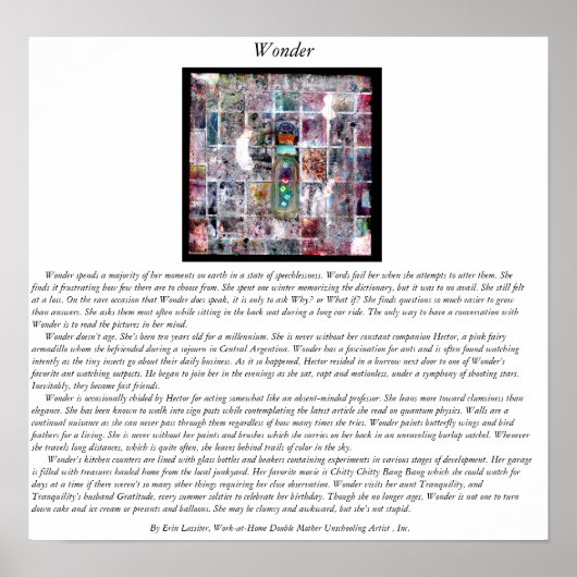 Poster Wonder (Devant)