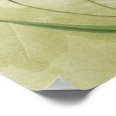 Poster Wonderland - Bonkers Citation - Alice au pays des  (Coin)