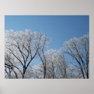 Poster Wonderland d'hiver avec arbres glacés