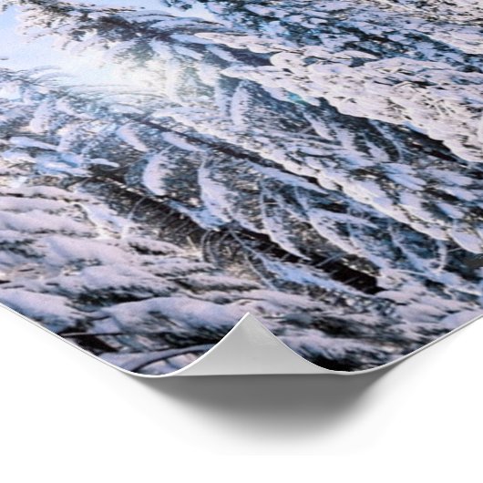 Poster Wonderland Pine Trees en Neige (Coin)
