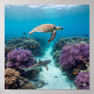 Poster Wonderland sous-marin : Coral Reef, Sea Turtle