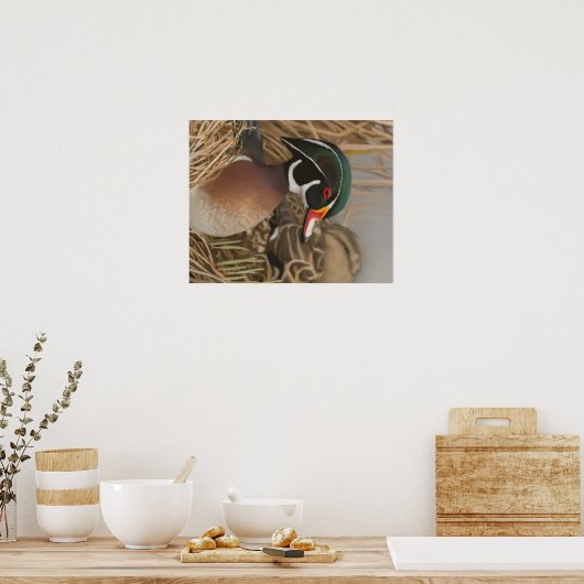 Poster Wood Duck (Cuisine)