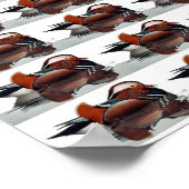 Poster Wood Duck (Coin)