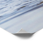 Poster Wood Duck mal flapping wings in wetland (Coin)