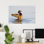 Poster Wood Duck mal flapping wings in wetland (Bureau à domicile)