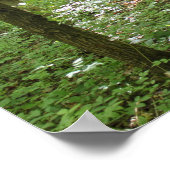 Poster Wood Nymphe (Coin)