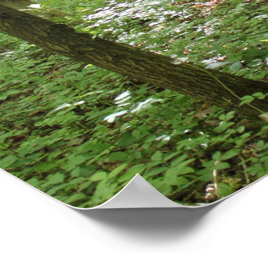 Poster Wood Nymphe (Coin)